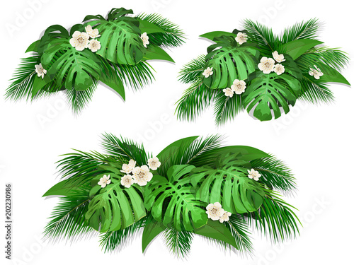 Fototapeta Naklejka Na Ścianę i Meble -  Summer composition with exotic leaves.  Set of bush tropical palm leaves, monstera and flowers for web page background, wallpaper, textile or poster.