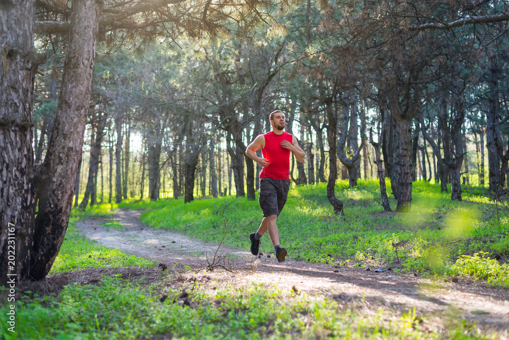 The athlete running along the forest trail, a copy of the space.
