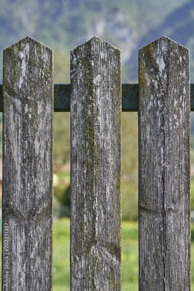 wooden fence in the backyard wooden fence in the backyard
