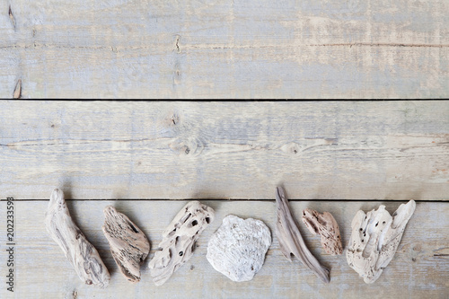 Close up of driftwood and a shell taken as souvenirs from a vacation on the island. Flat lay pattern on top of a light brown wooden table. Horizontal. With copy space.