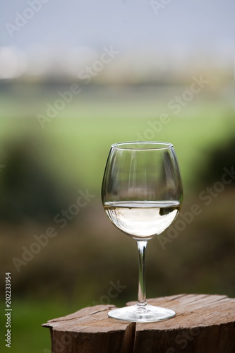 Close up of a white wine glass sitting on a tree stump with a view of the fields. Vertical close up.