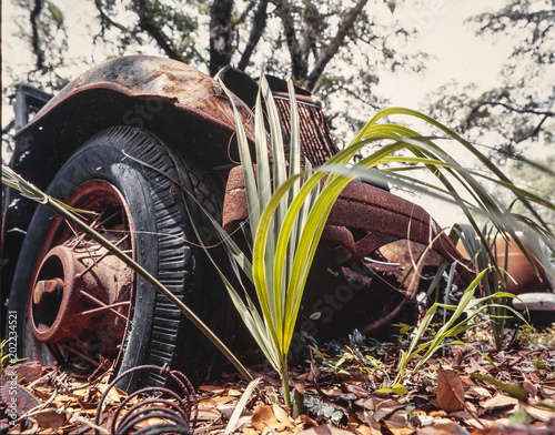 derlict rusting overgrown antique automoblie hulk photo