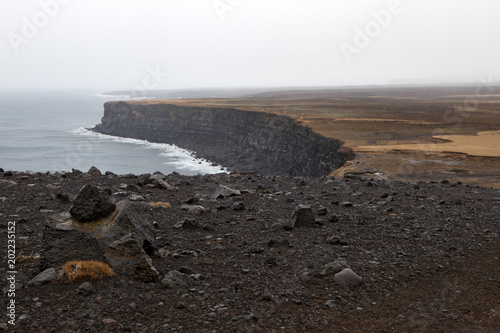 The bird cliffs on the Reykjanes Pennisula photo