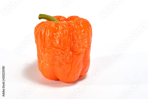 old wrinkled bell pepper or Capsicum fruit with green stalk isolated on white, vegetable wastage