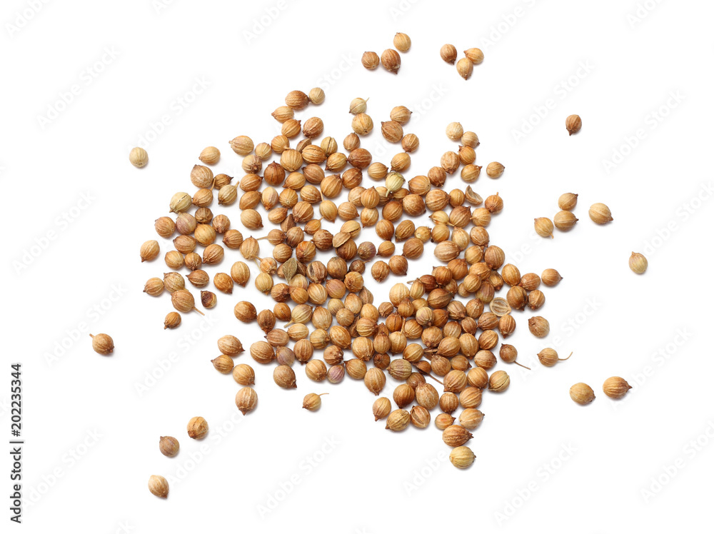 coriander seeds isolated on white background coriander seeds isolated on white background