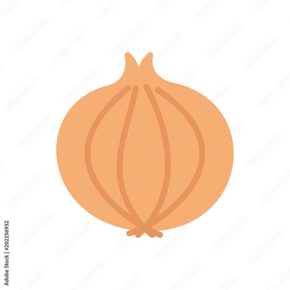 Onion vegetable icon vector flat Onion vegetable icon vector flat