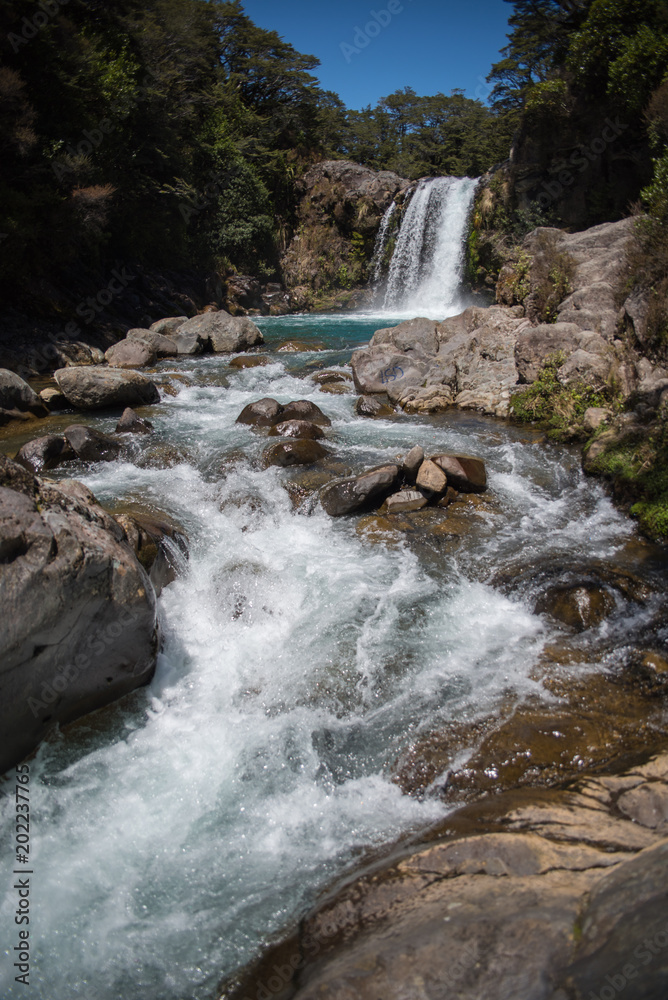 Obraz premium A waterfall and river in Northern New Zealand. 