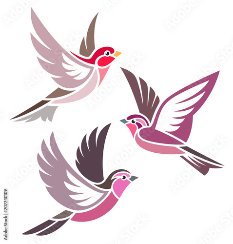 Stylized Birds - Rosefinches in flight