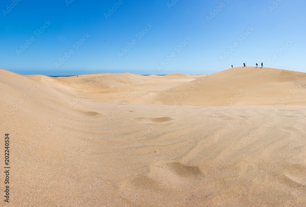 Dünen Maspalomas Gran Canaria Kanaren island Spain Dünen Maspalomas Gran Canaria Kanaren island Spain