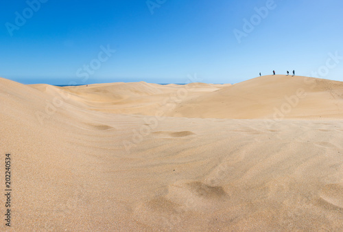 D  nen Maspalomas Gran Canaria Kanaren island Spain