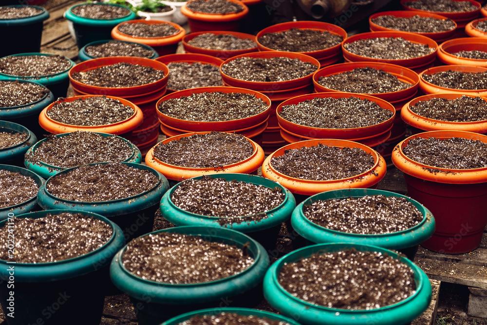 Fototapeta premium potting soil in large pots