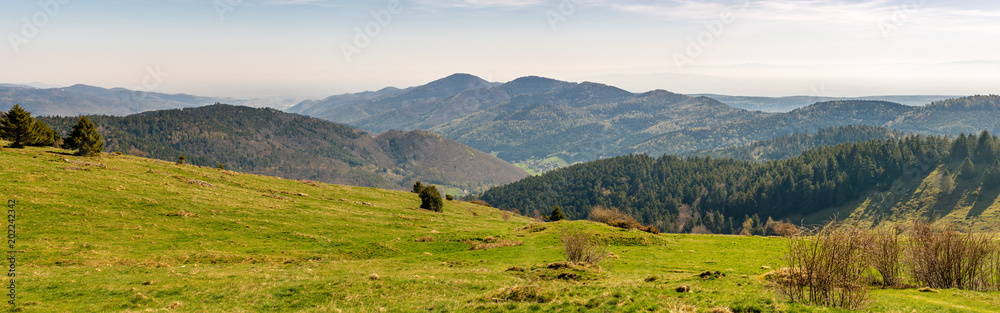 French landscape - Vosges. View towards the Vosges massif with hills and trees in the early morning.