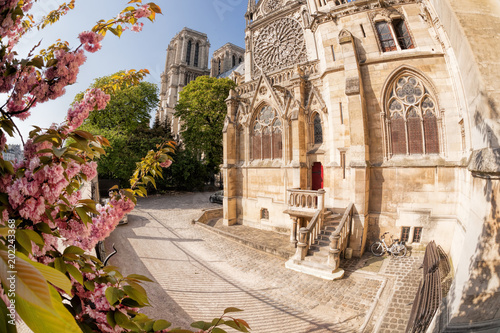 Paris, Notre Dame cathedral with spring trees in France