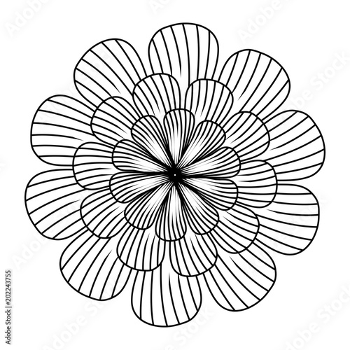 tropical flower icon over white background  black and white design. vector illustration