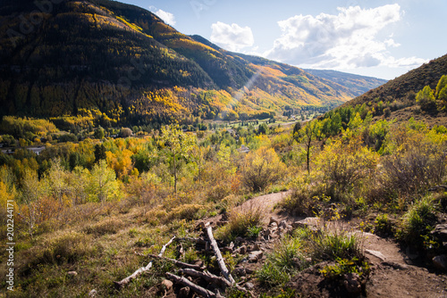 Fototapeta Krajobrazowy widok patrzeje w Vail dolinę podczas jesieni.