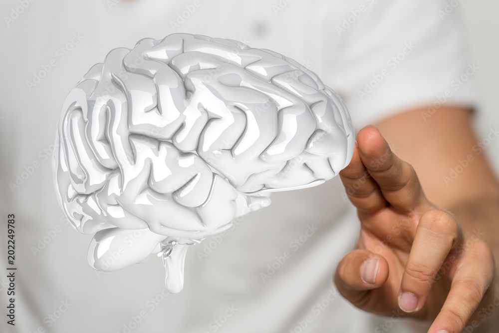 brain brain