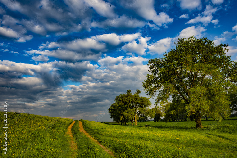 Landschaften gibts Landschaften gibts