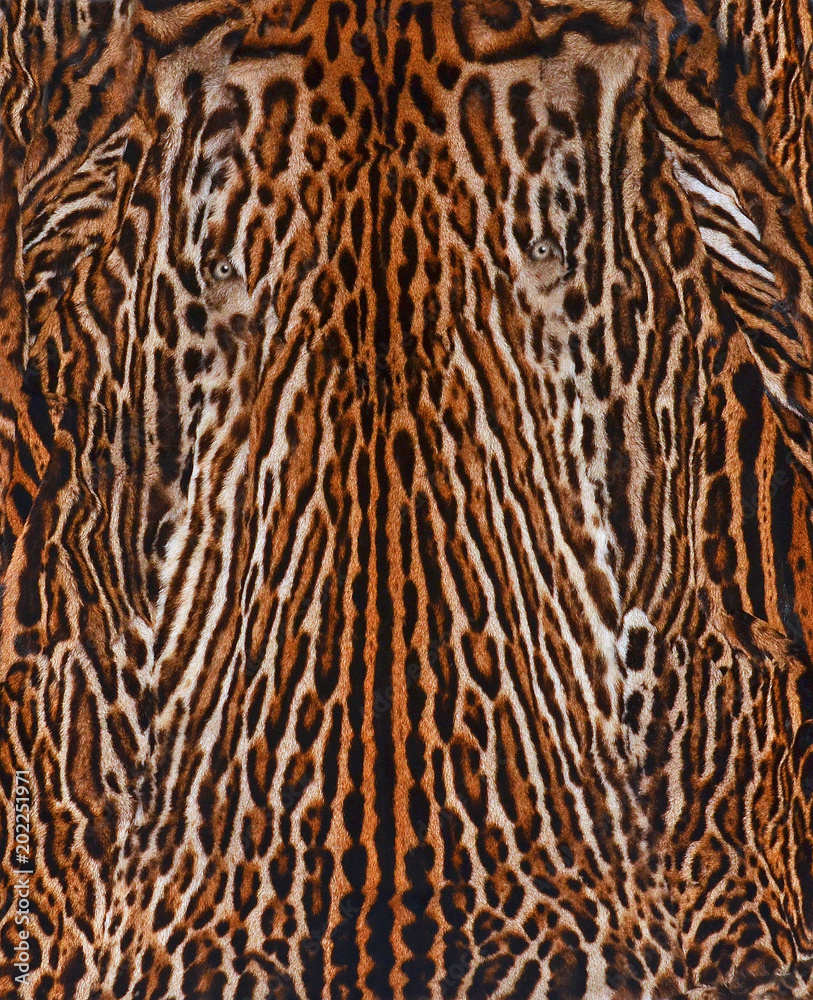 leopard background leopard background