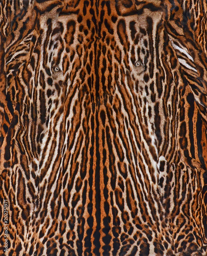 leopard background