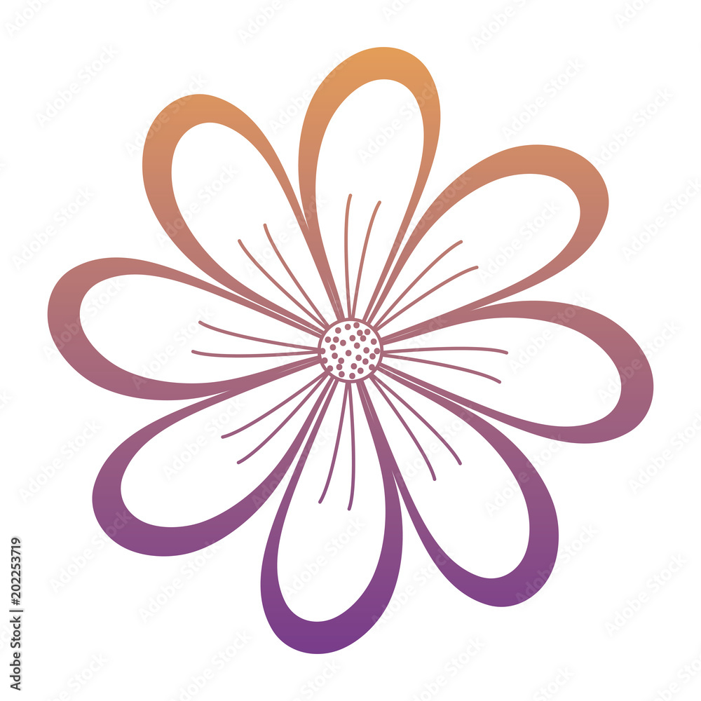 beautiful flower icon over white background, colorful design. vector illustration beautiful flower icon over white background, colorful design. vector illustration