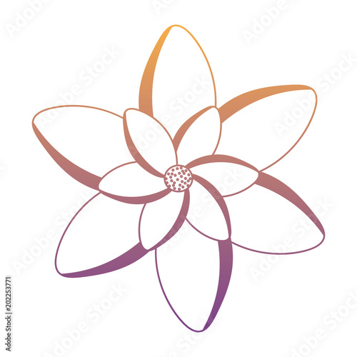beautiful flower icon over white background  colorful design. vector illustration