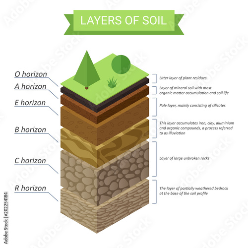 Vector Soil Layers isometric diagram. Underground soil layers diagram.