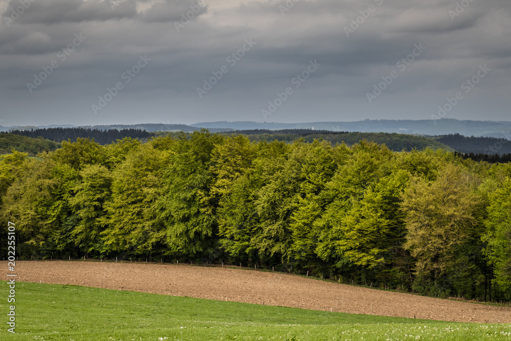 Naklejka premium Frühling im Sauerland