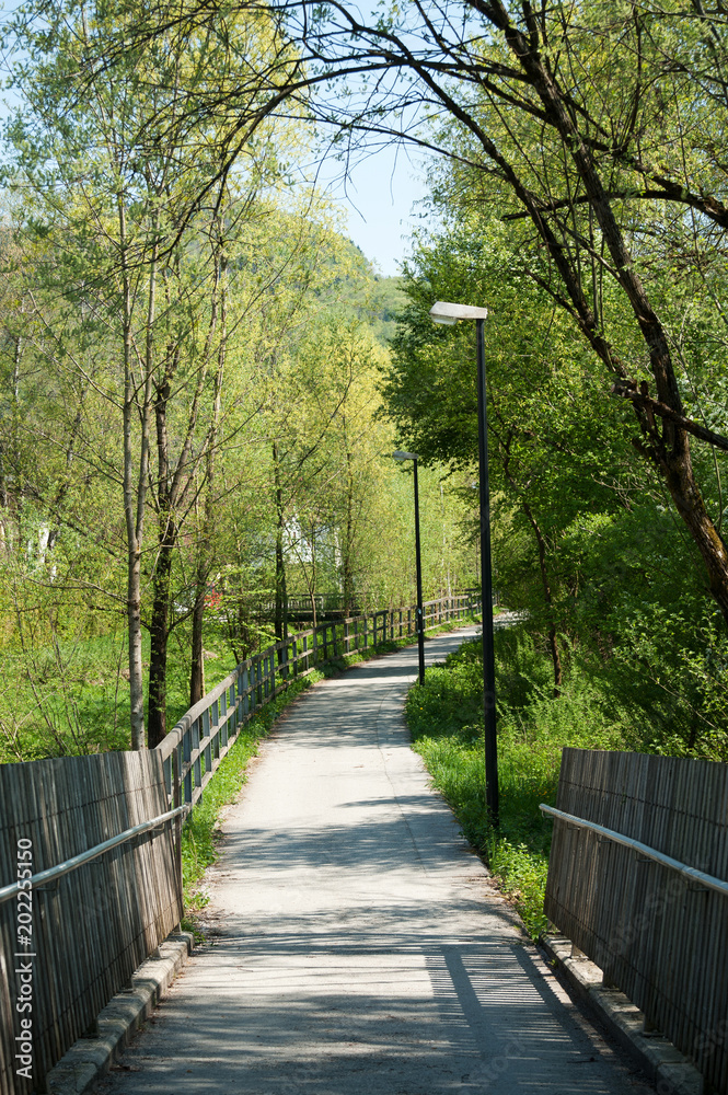 Salzburg, Alterbach, Fluss, Sommer, Weg