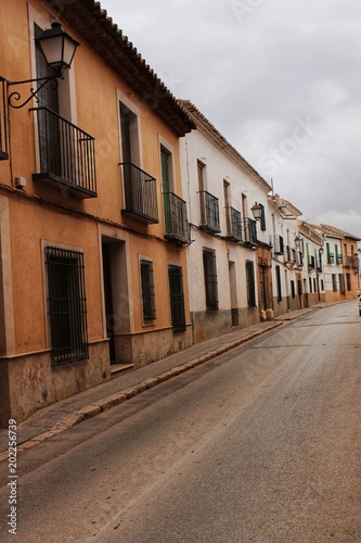 Fototapeta Naklejka Na Ścianę i Meble -  Old and majestic houses in the streets of Villanueva de los Infantes village