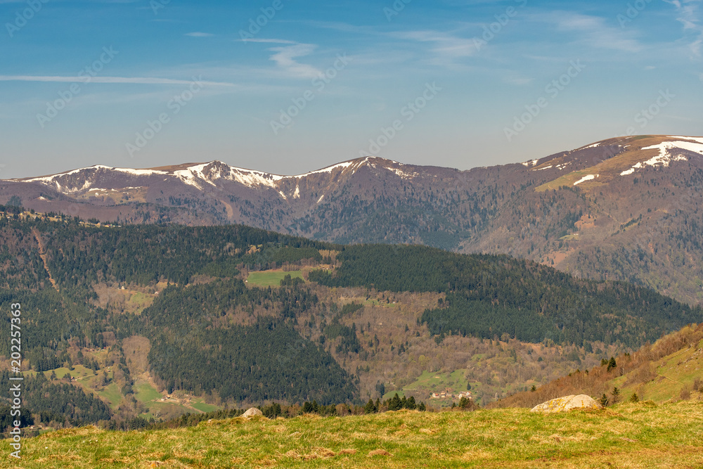 Obraz premium French landscape - Vosges. View towards the Vosges massif with hills and trees.
