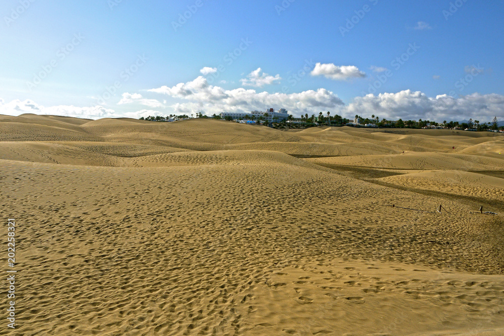 Sand Dunes of Maspalomas, Gran Canaria. SPAIN.