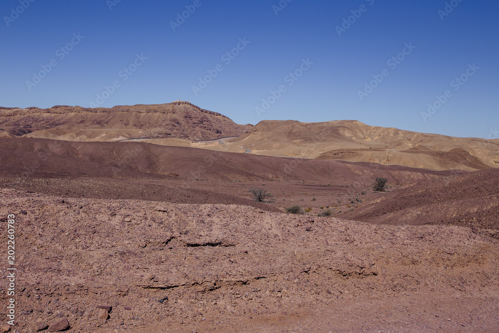 Way in the desert  in the Israil in sunny day with red mountains, green plants and blue sky