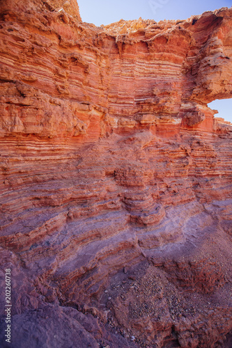 Way in the desert in the Israil in sunny day with red mountains, green plants and blue sky