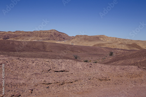 Way in the desert in the Israil in sunny day with red mountains, green plants and blue sky