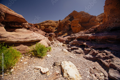 Way in the desert in the Israil in sunny day with red mountains, green plants and blue sky