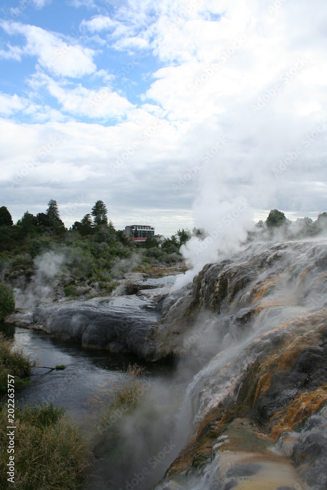 Fototapeta premium Rotorua geysers