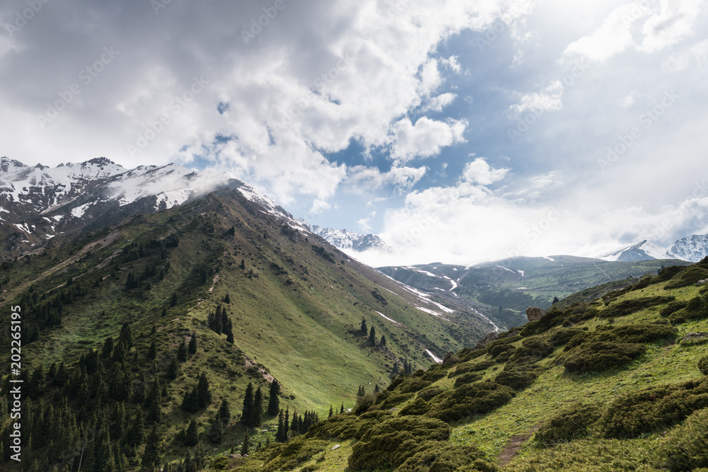 Fototapeta premium Scenic view on green majestic mountains and snowy tops. Beautiful dramatic cloudy sky. South region of Kazakhstan.