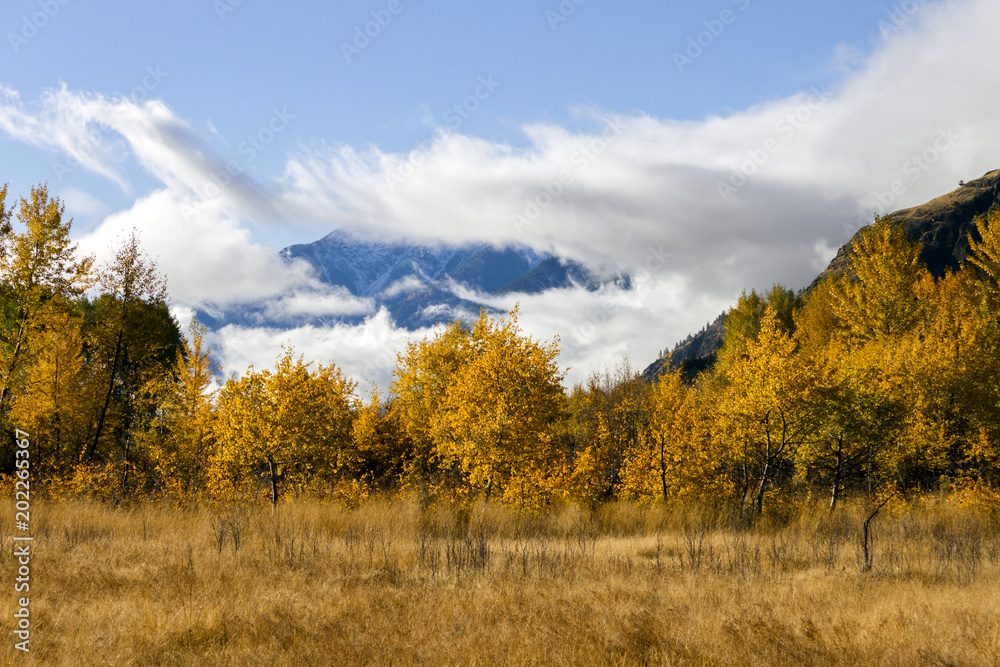Autumn Fall Colors Similkameen Valley