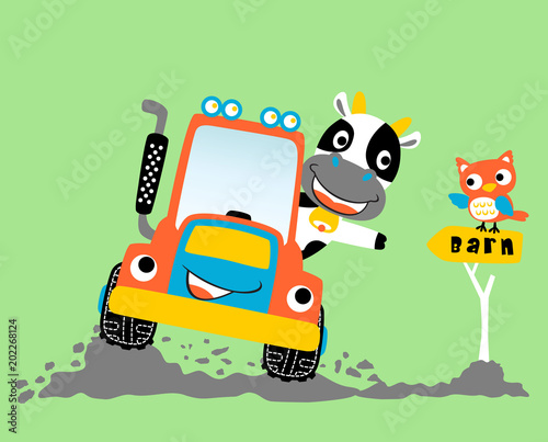 cow drive tractor in farmyard, vector cartoon illustration