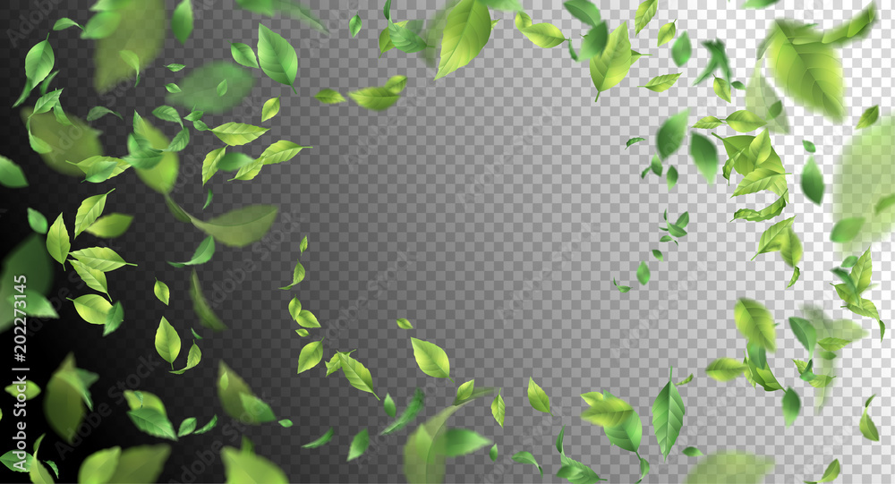 Green Flying Leaves