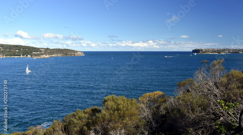 North Head and South Head view from Dobroyd Head lookout in Sydney Harbour.