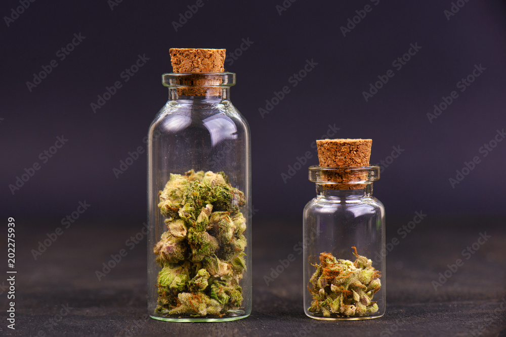 Detail of assorted jars with cannabis calyxes (sour tangie strain) isolated on black Detail of assorted jars with cannabis calyxes (sour tangie strain) isolated on black