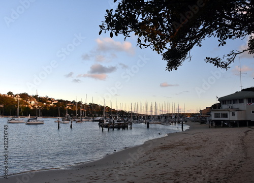 Many moored yachts and boats in Sandy bay at low tide (The Spit, Sydney, NSW, Australia). © katacarix