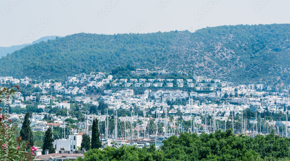 View of many Typical Aegean architecture houses