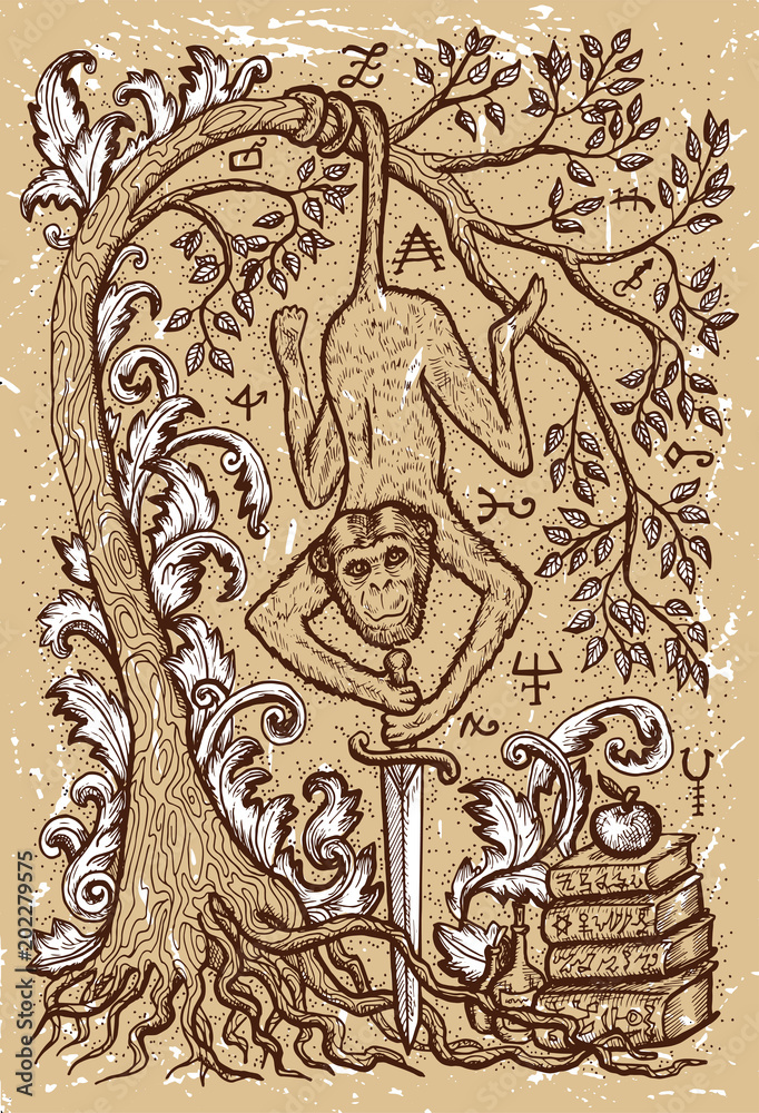 Monkey symbol with sword, book, baroque decorated tree and mystic signs on old texture background. Fantasy engraved illustration. Zodiac animals of eastern calendar, mysterious concept