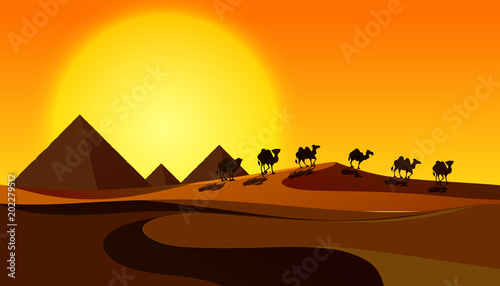  Silhouette Camels in Desert Scene
