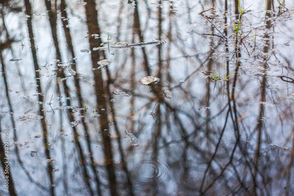 Small creek with reflections in the water Small creek with reflections in the water