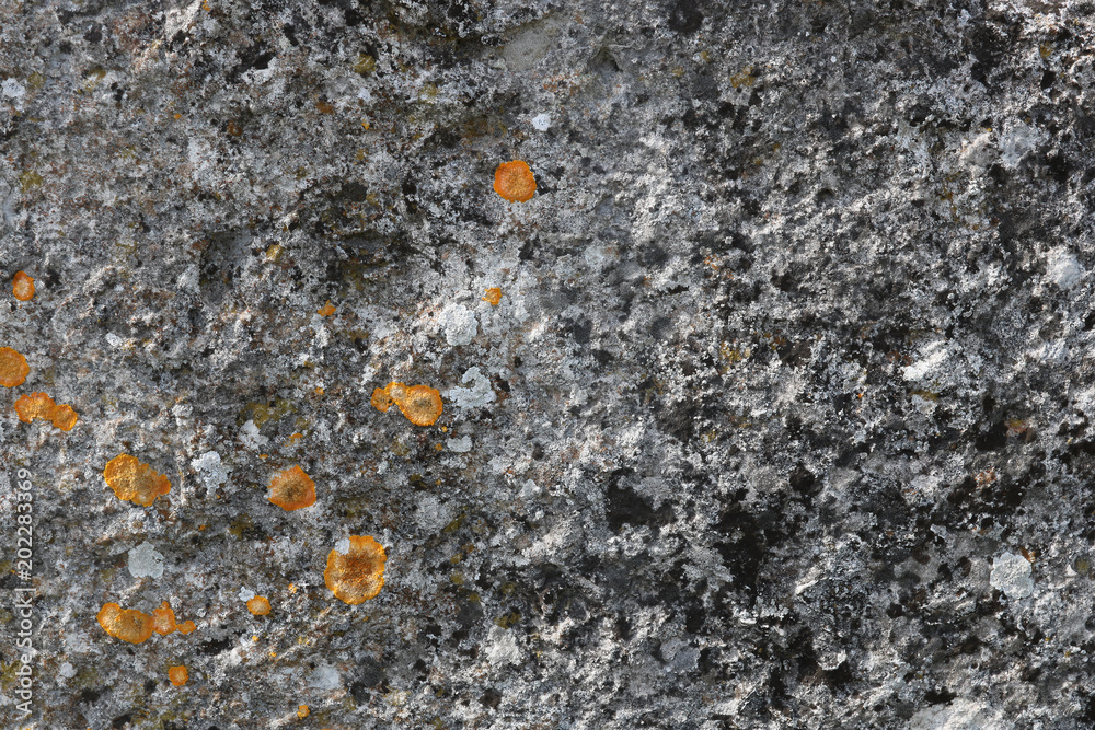 Close-up rough grungy cracked stone texture background. Close-up rough grungy cracked stone texture background.