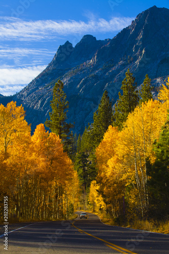 Fall Color in June Lake Loop Hwy 395