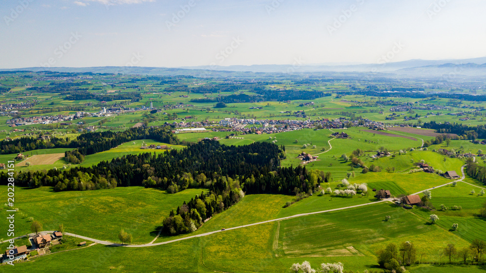 Panoramic view of idyllic mountain scenery in the Alps with fresh green meadows in bloom on a beautiful sunny day